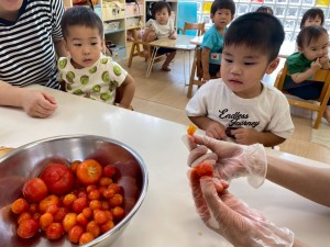 トマトジャムを作ったよ