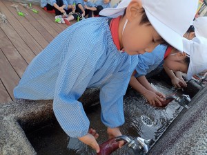 焼きいもパーティー４．５歳児